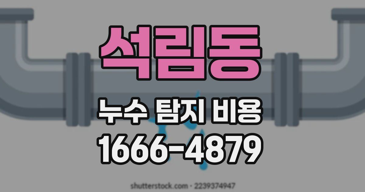 석림동 누수 탐지 비용