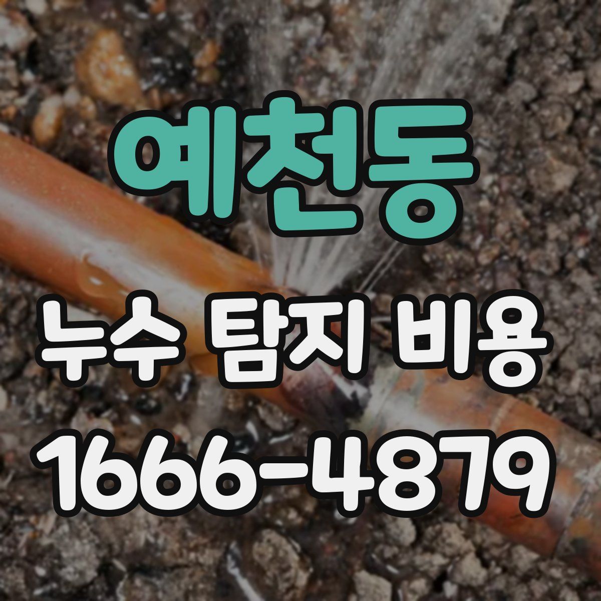 예천동 누수 탐지 비용