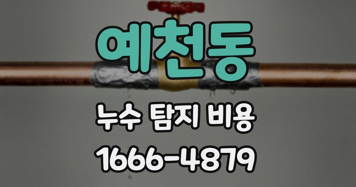 예천동 누수 탐지 비용
