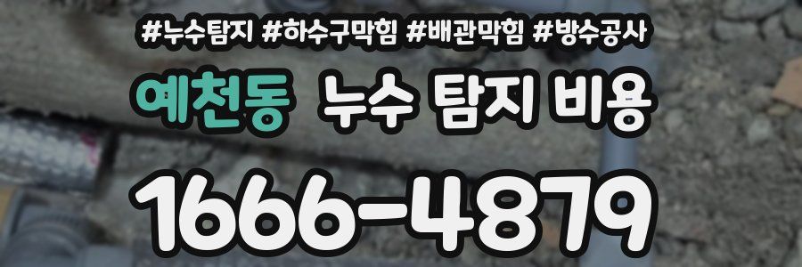 예천동 누수 탐지 비용