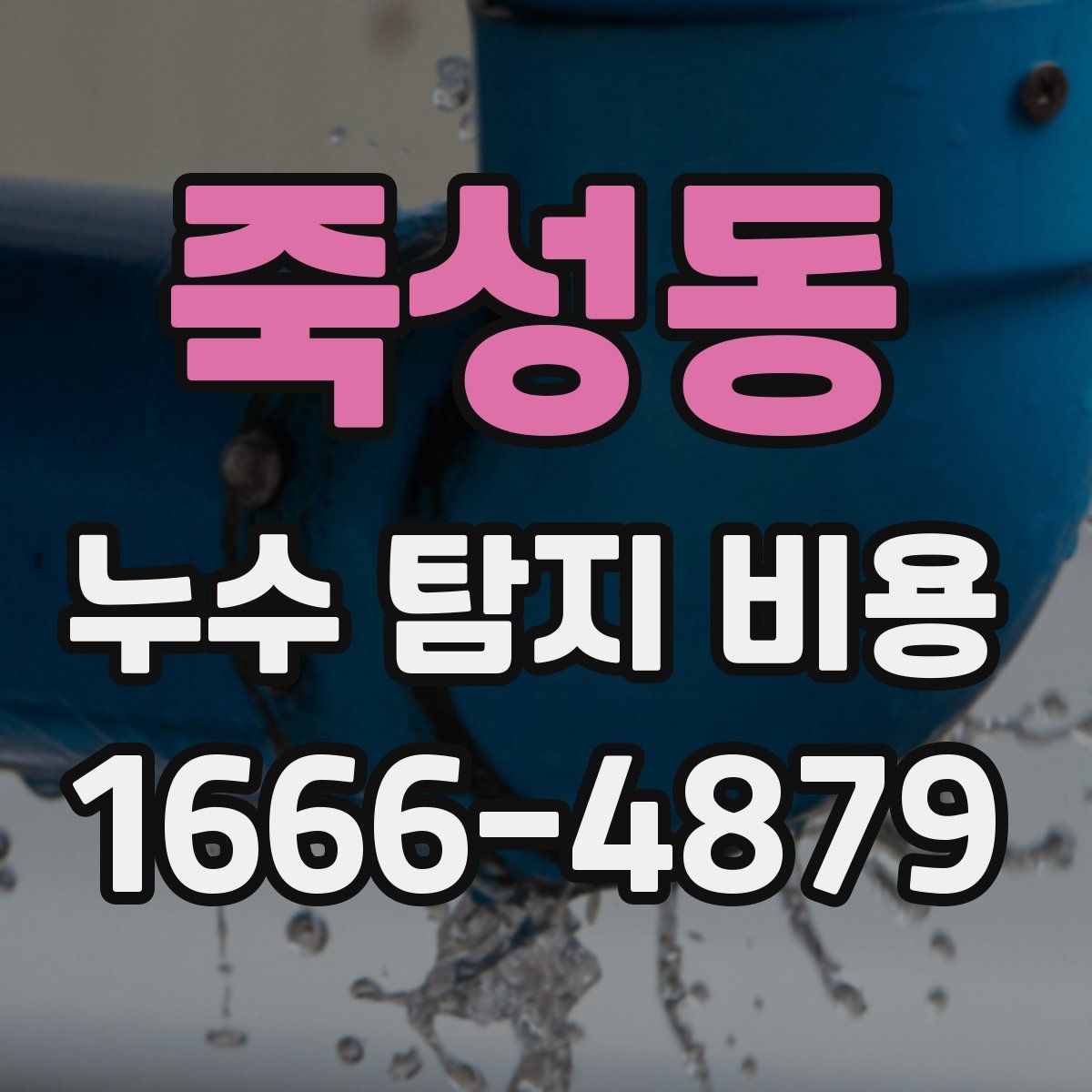 죽성동 누수 탐지 비용