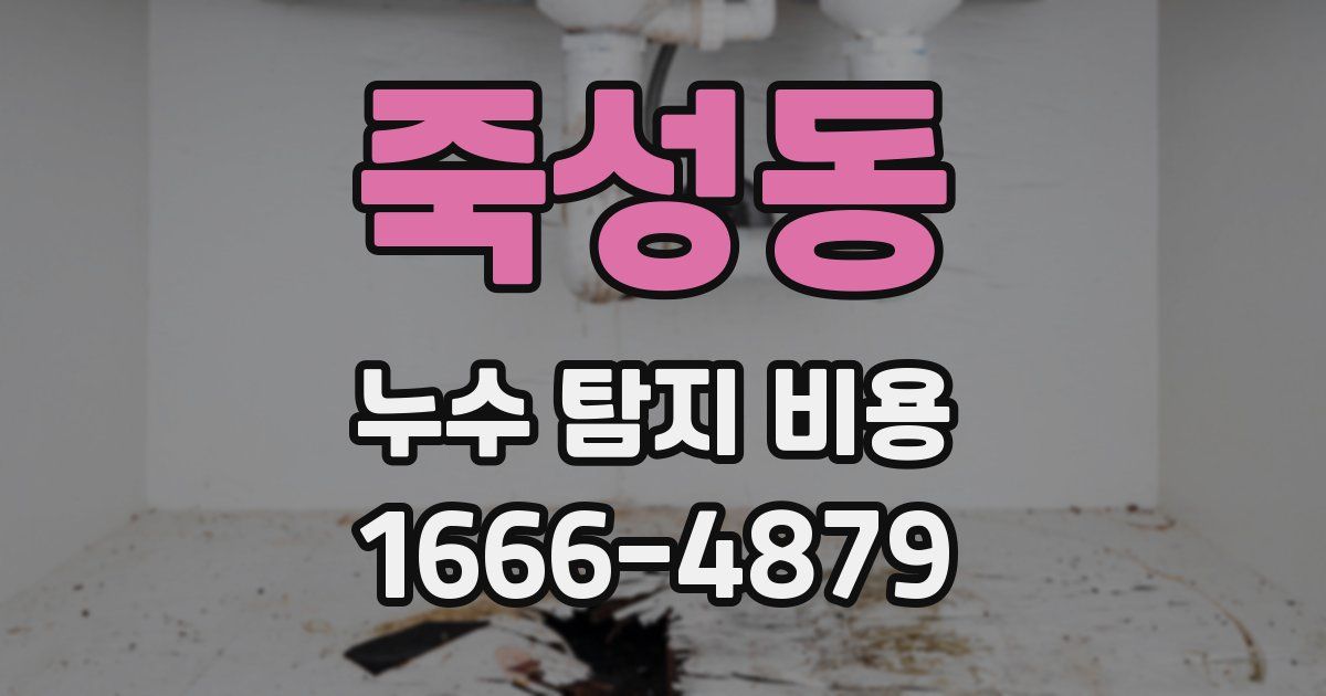 죽성동 누수 탐지 비용