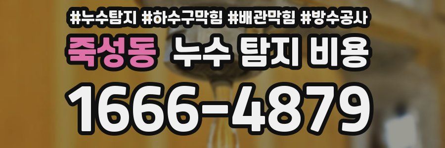 죽성동 누수 탐지 비용