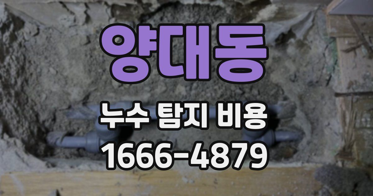 양대동 누수 탐지 비용