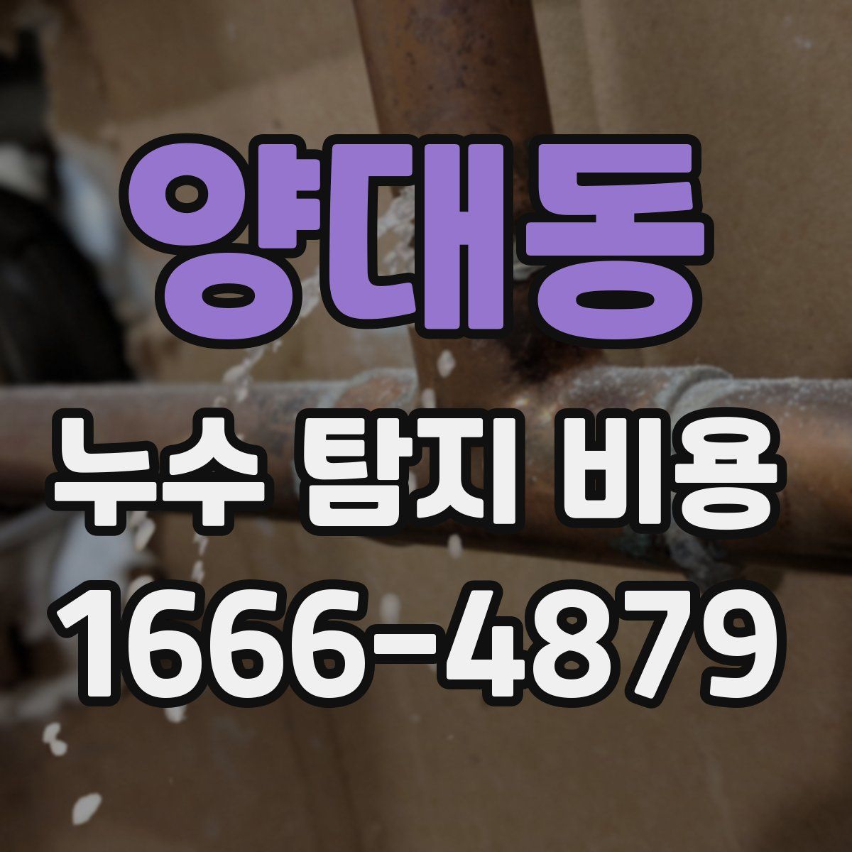 양대동 누수 탐지 비용
