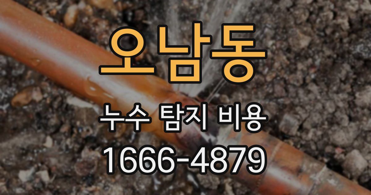 오남동 누수 탐지 비용
