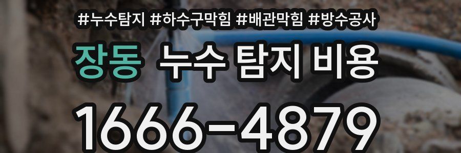 장동 누수 탐지 비용