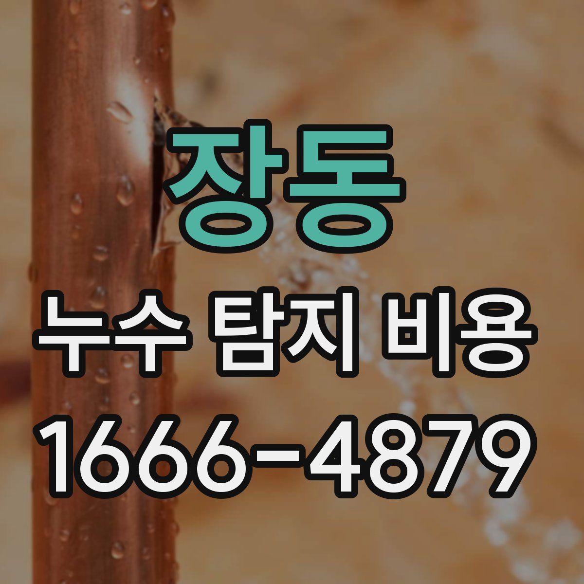 장동 누수 탐지 비용