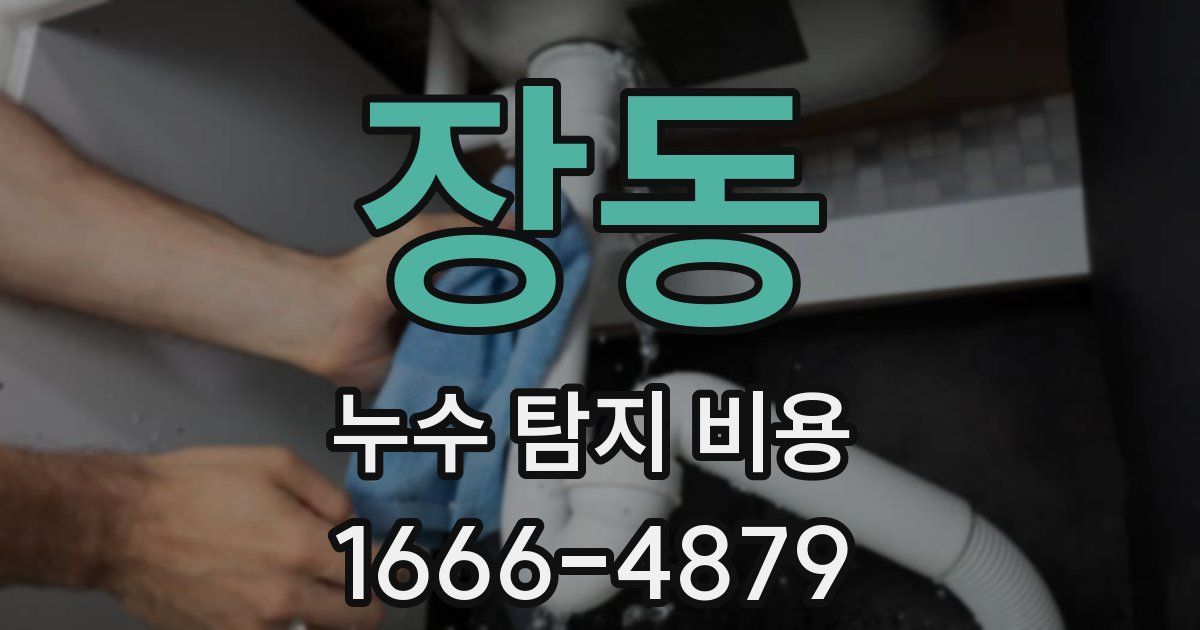장동 누수 탐지 비용