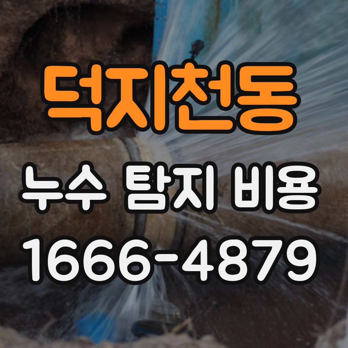 덕지천동 누수 탐지 비용