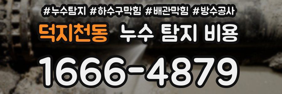 덕지천동 누수 탐지 비용