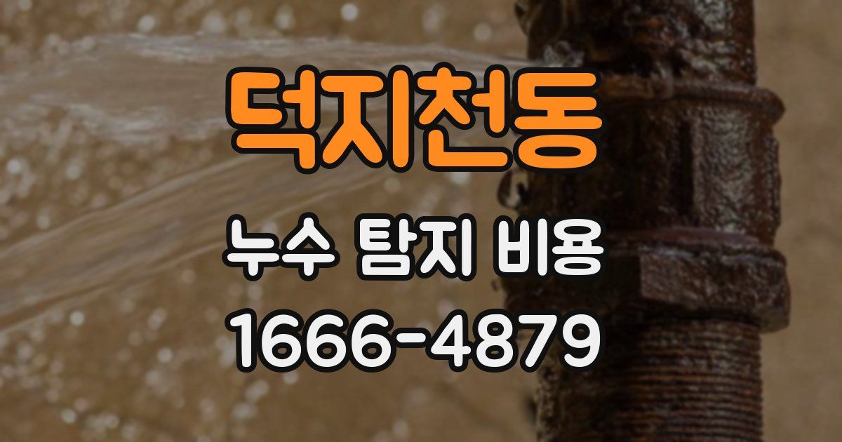 덕지천동 누수 탐지 비용