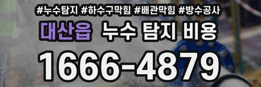 대산읍 누수 탐지 비용