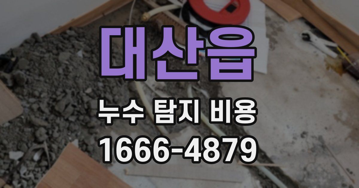 대산읍 누수 탐지 비용