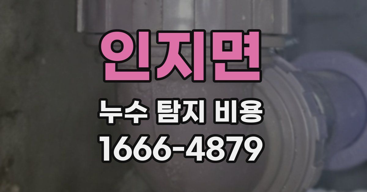 인지면 누수 탐지 비용