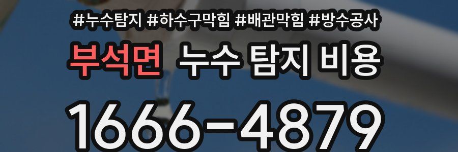 부석면 누수 탐지 비용