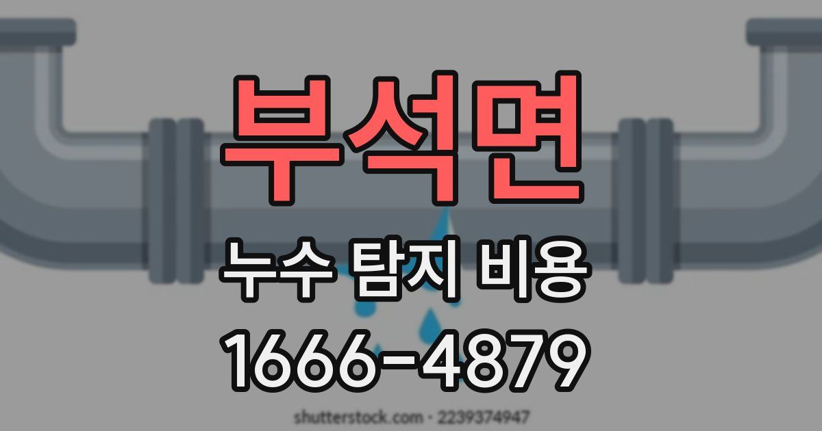 부석면 누수 탐지 비용
