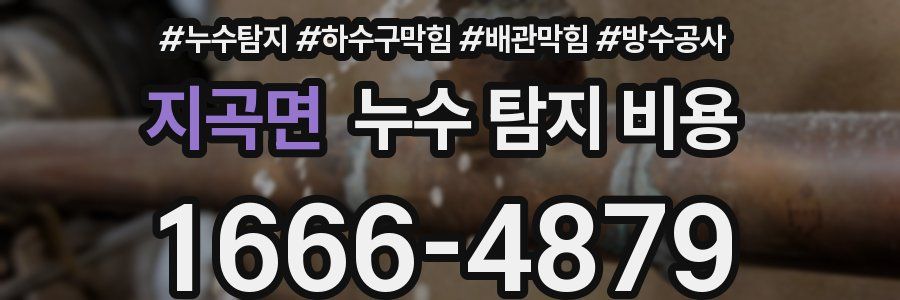 지곡면 누수 탐지 비용