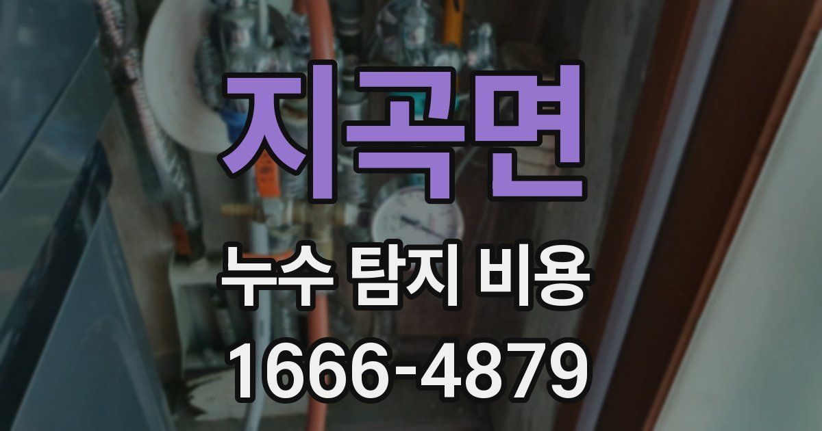 지곡면 누수 탐지 비용