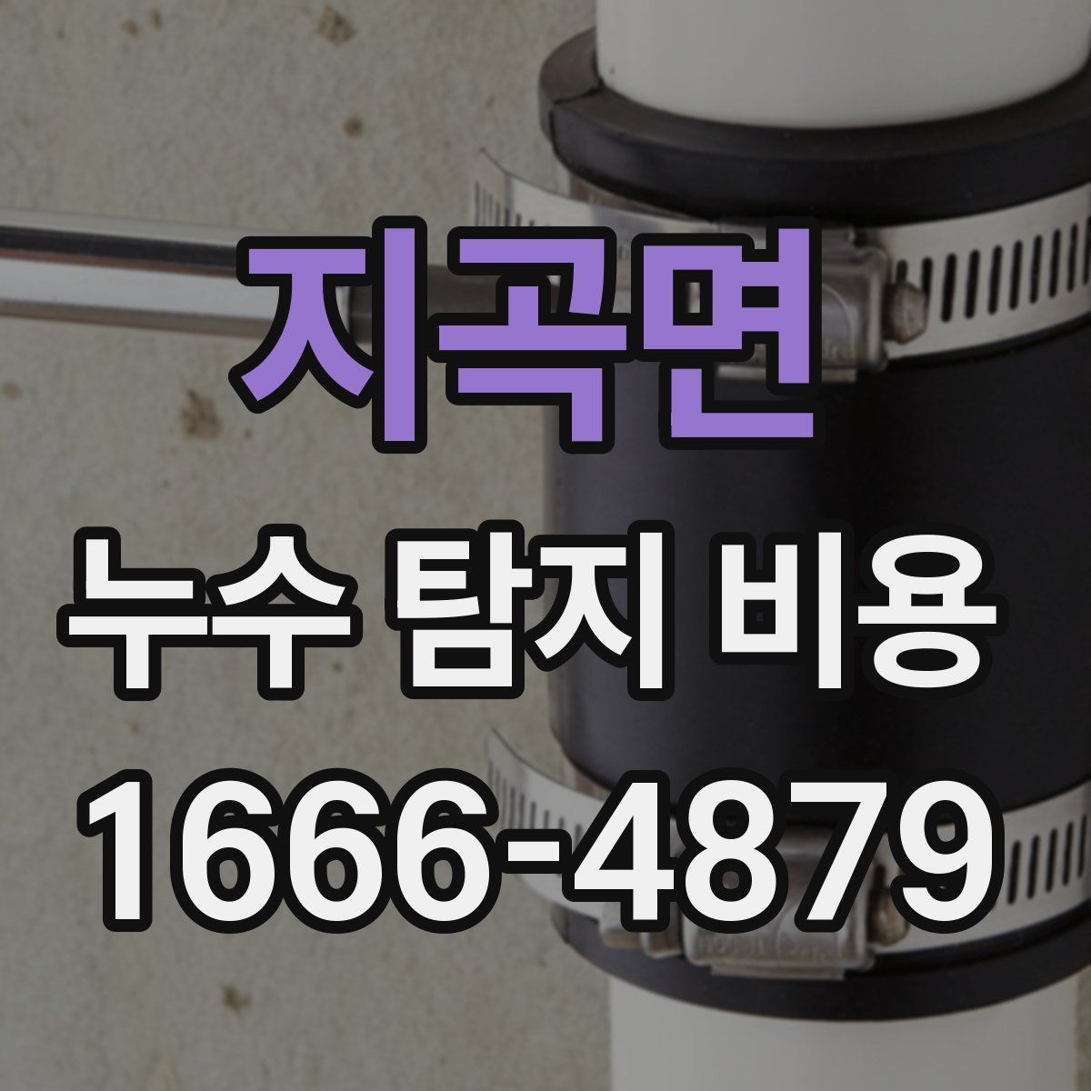 지곡면 누수 탐지 비용