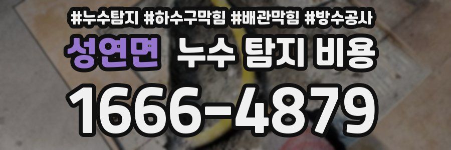 성연면 누수 탐지 비용
