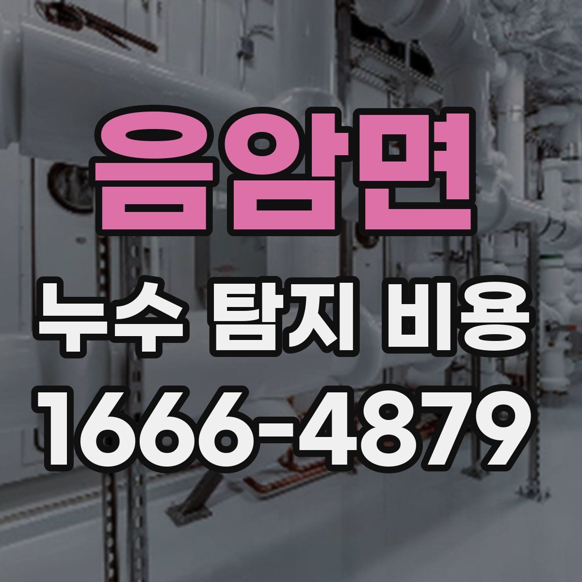 음암면 누수 탐지 비용