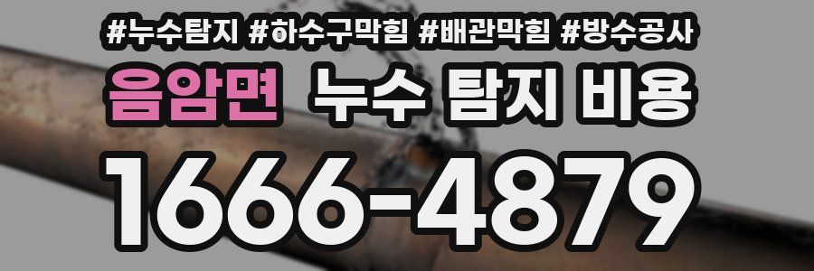 음암면 누수 탐지 비용