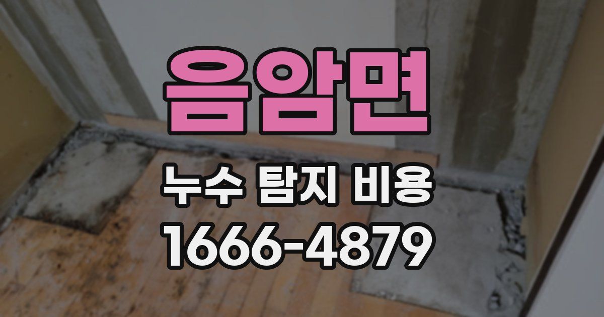 음암면 누수 탐지 비용