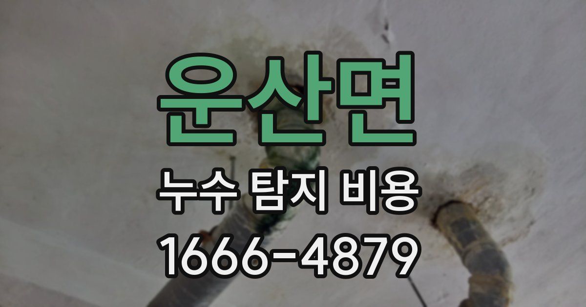 운산면 누수 탐지 비용