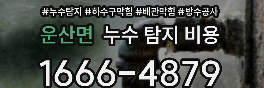 운산면 누수 탐지 비용