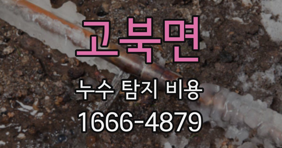 고북면 누수 탐지 비용