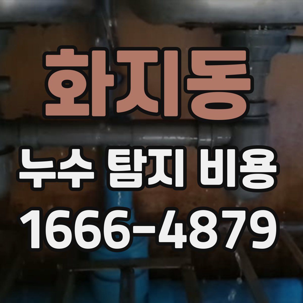 화지동 누수 탐지 비용