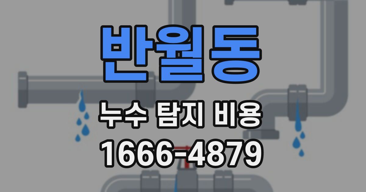 반월동 누수 탐지 비용