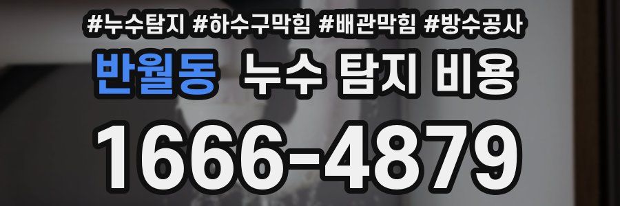 반월동 누수 탐지 비용