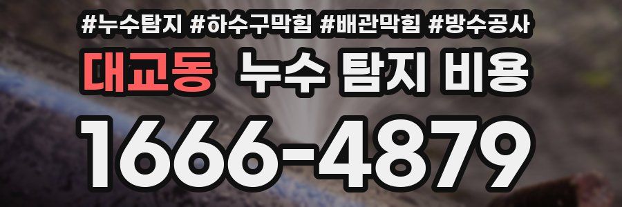 대교동 누수 탐지 비용