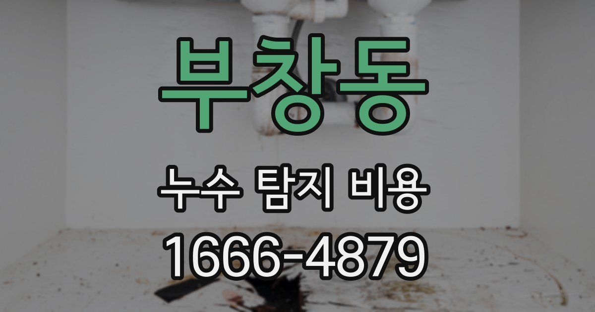 부창동 누수 탐지 비용