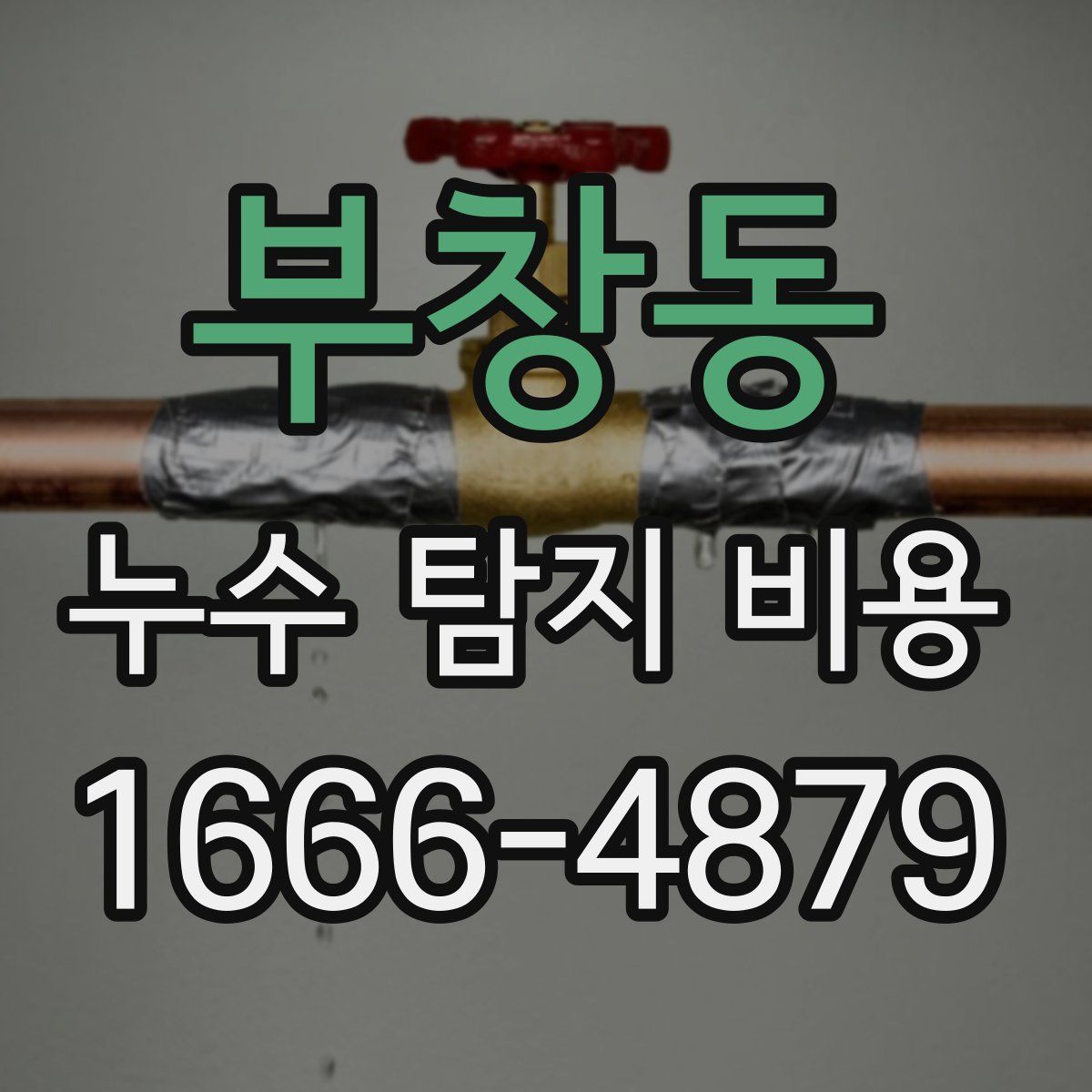 부창동 누수 탐지 비용