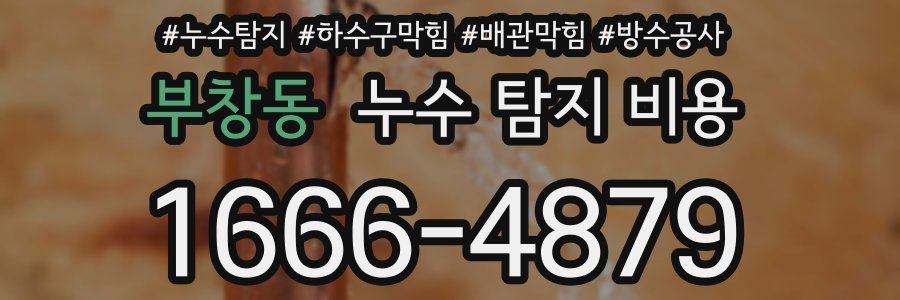 부창동 누수 탐지 비용