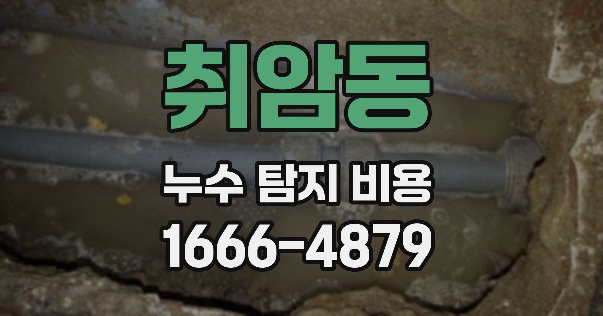 취암동 누수 탐지 비용