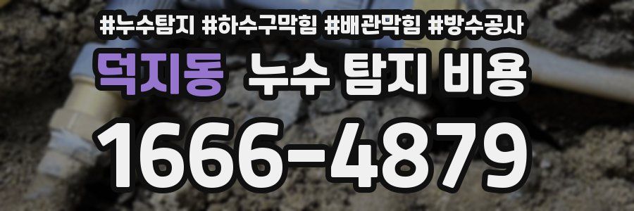 덕지동 누수 탐지 비용