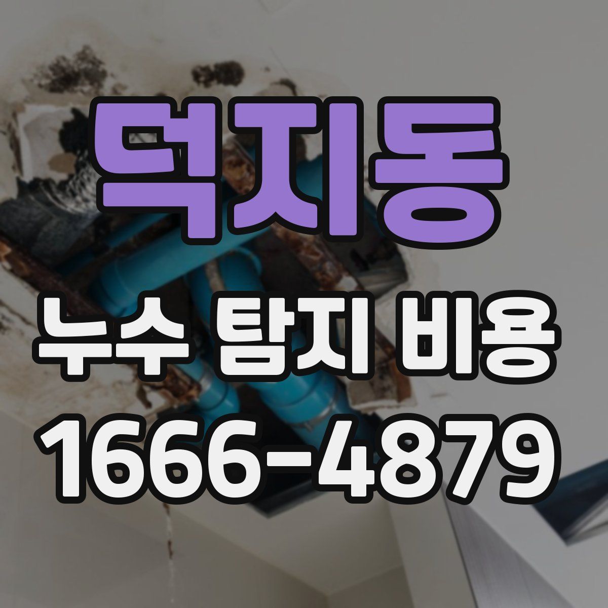 덕지동 누수 탐지 비용
