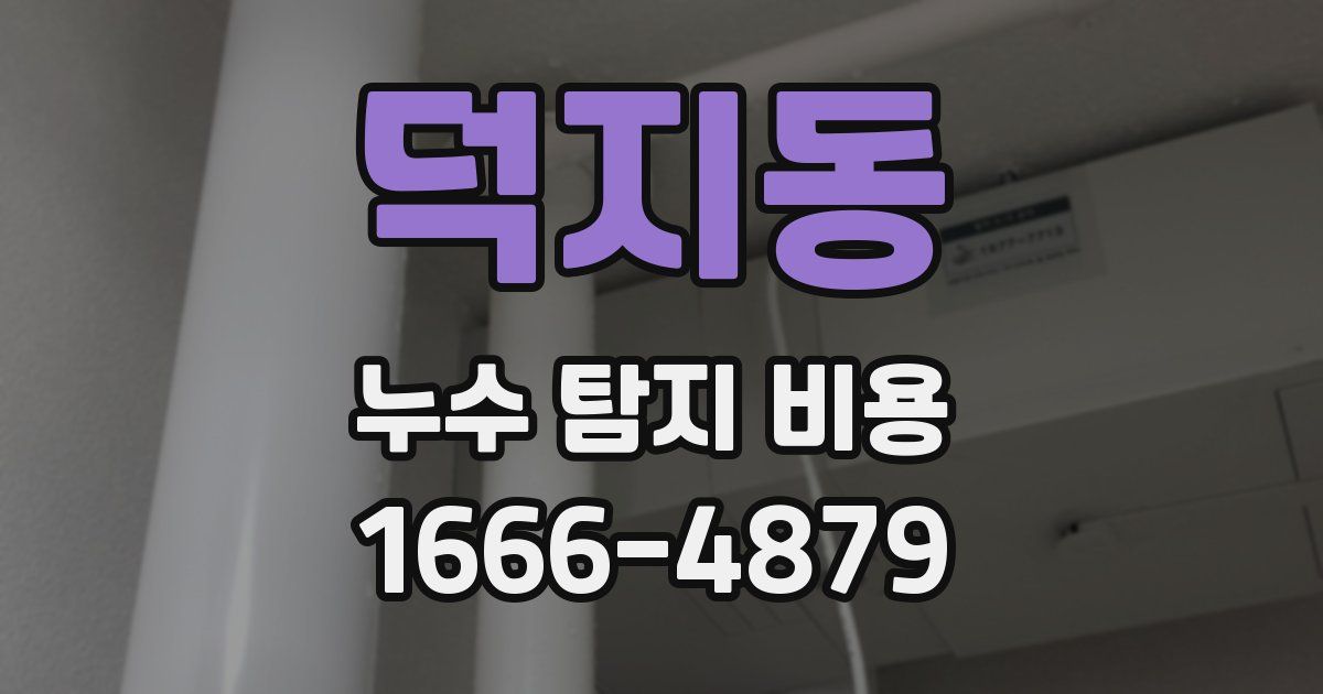 덕지동 누수 탐지 비용