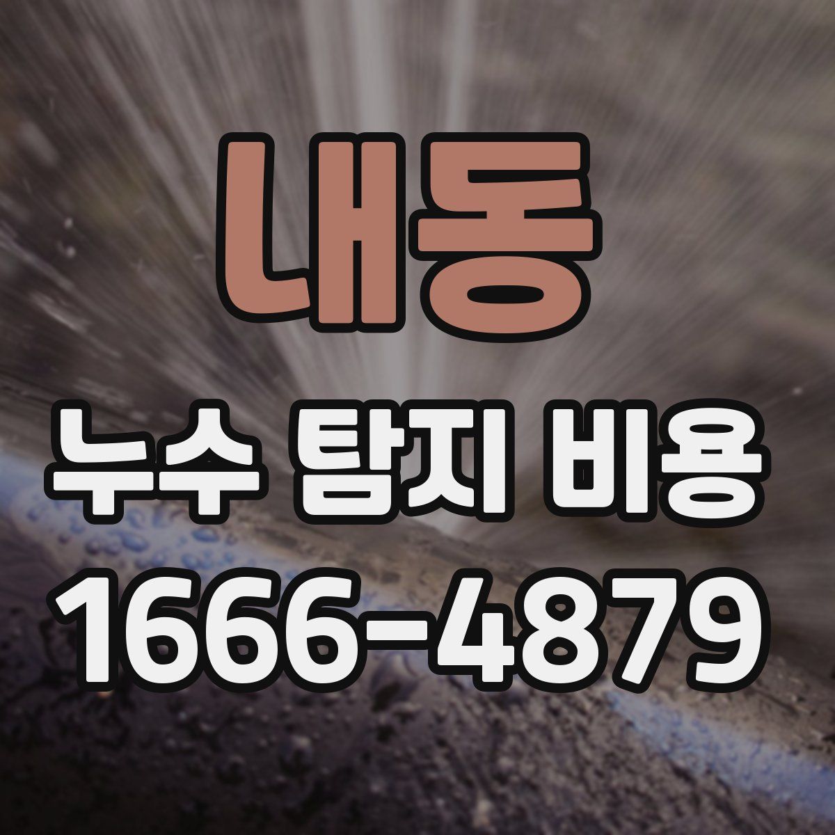 내동 누수 탐지 비용