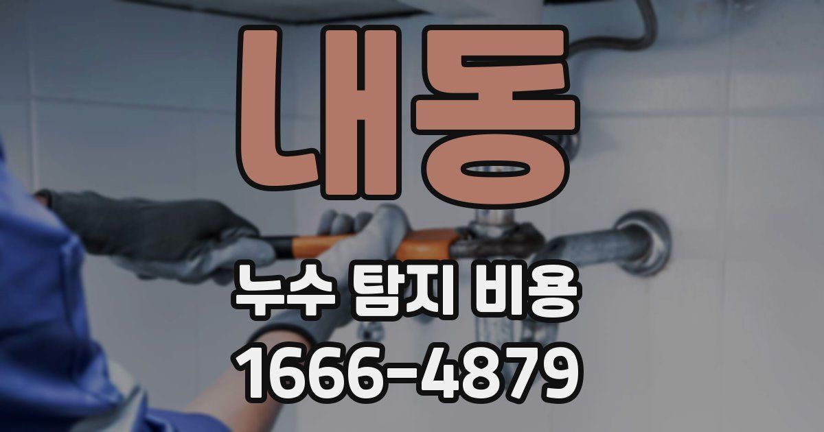 내동 누수 탐지 비용