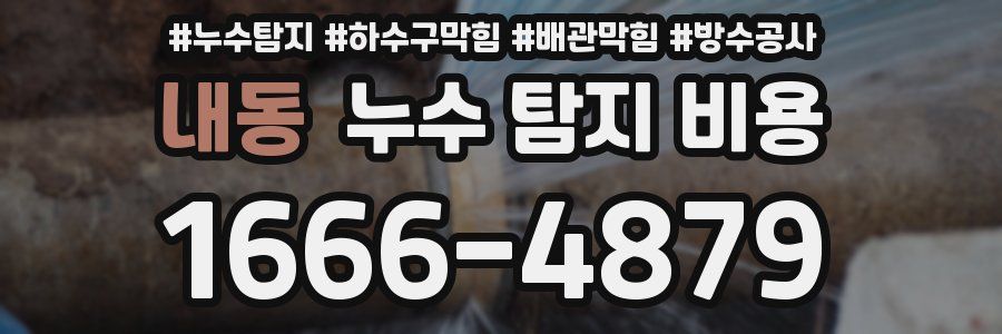 내동 누수 탐지 비용