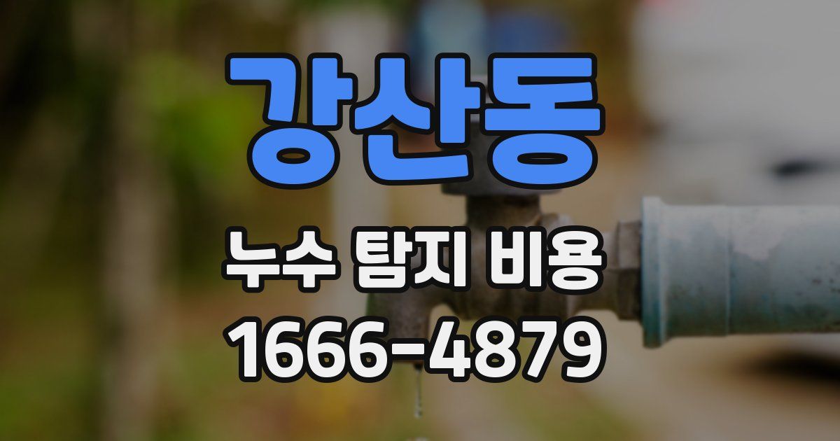 강산동 누수 탐지 비용