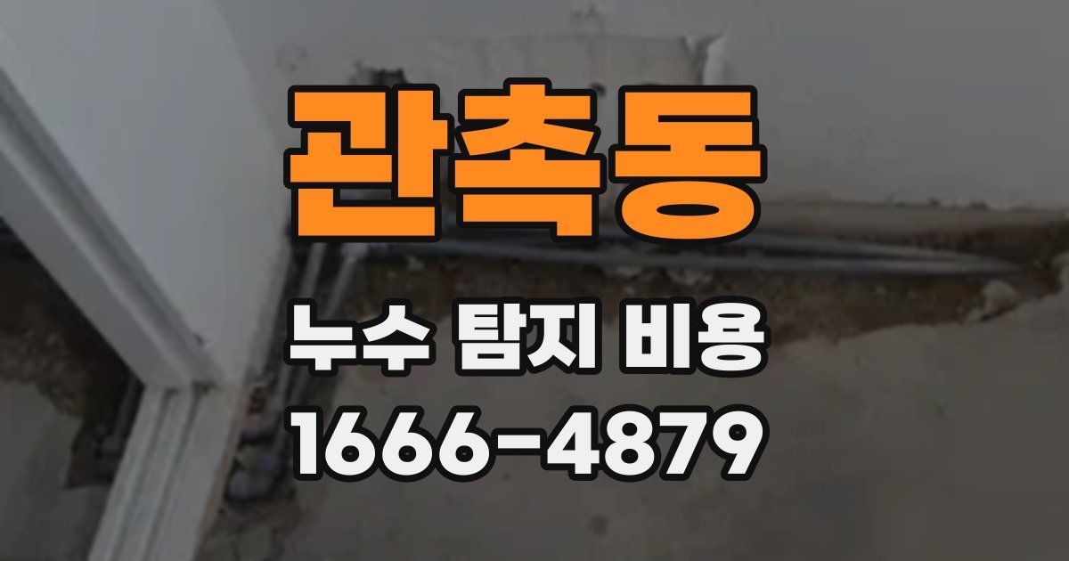 관촉동 누수 탐지 비용