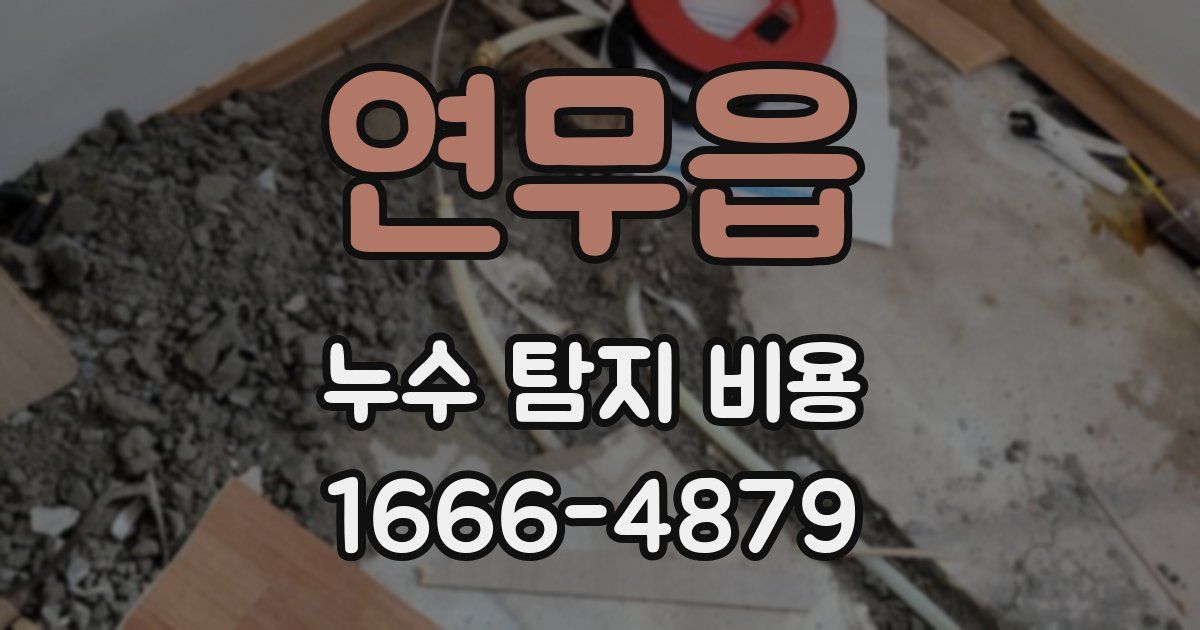 연무읍 누수 탐지 비용