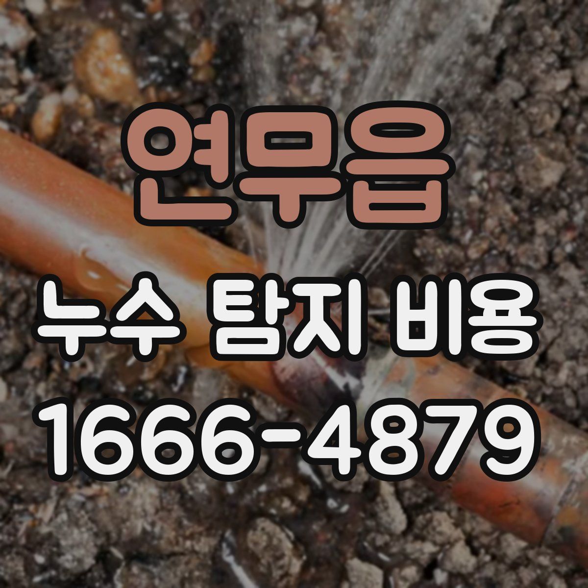연무읍 누수 탐지 비용