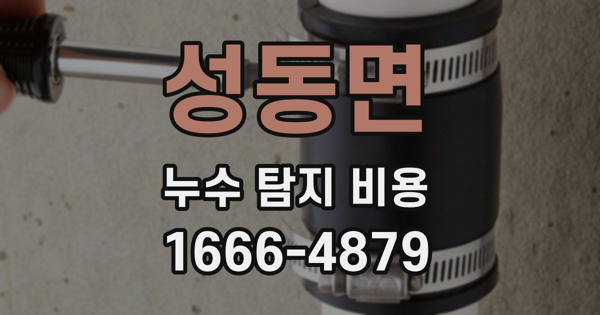 성동면 누수 탐지 비용